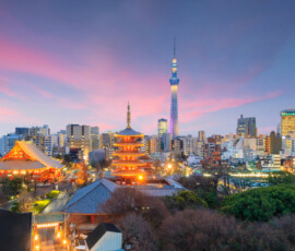 View of Tokyo skyline at sunset in Japan.